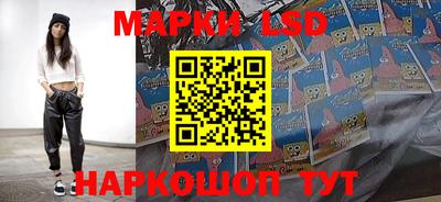 spice Обнинск