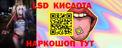 spice Обнинск
