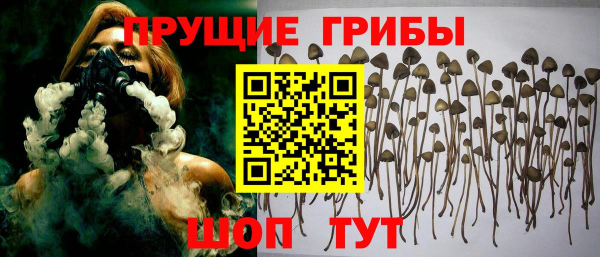 Псилоцибиновые грибы прущие грибы Нурлат