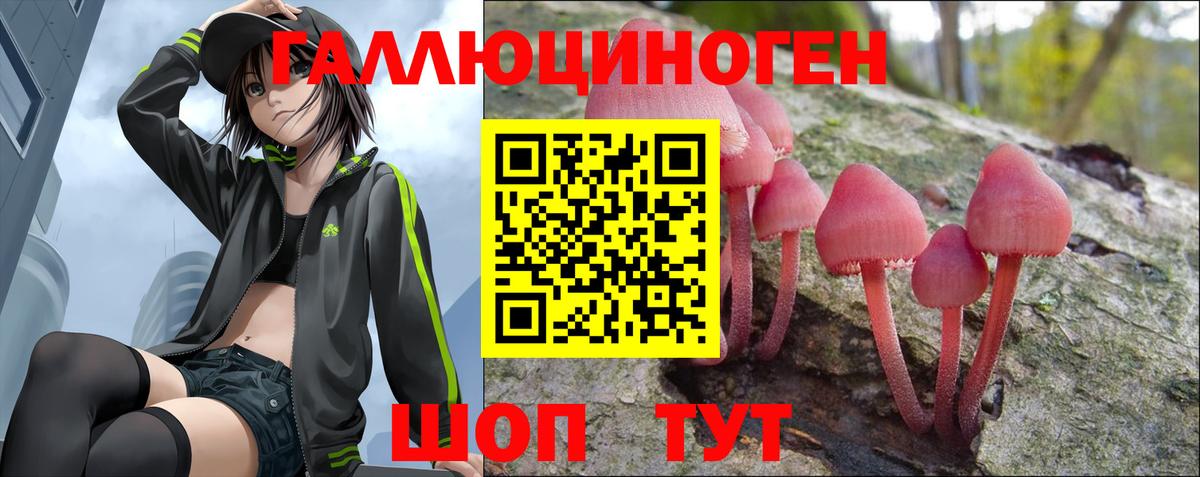 Нурлат  купить наркотики цена  Вход с VPN  Галлюциногенные грибы прущие грибы  Псилоцибиновые грибы Psilocybe 